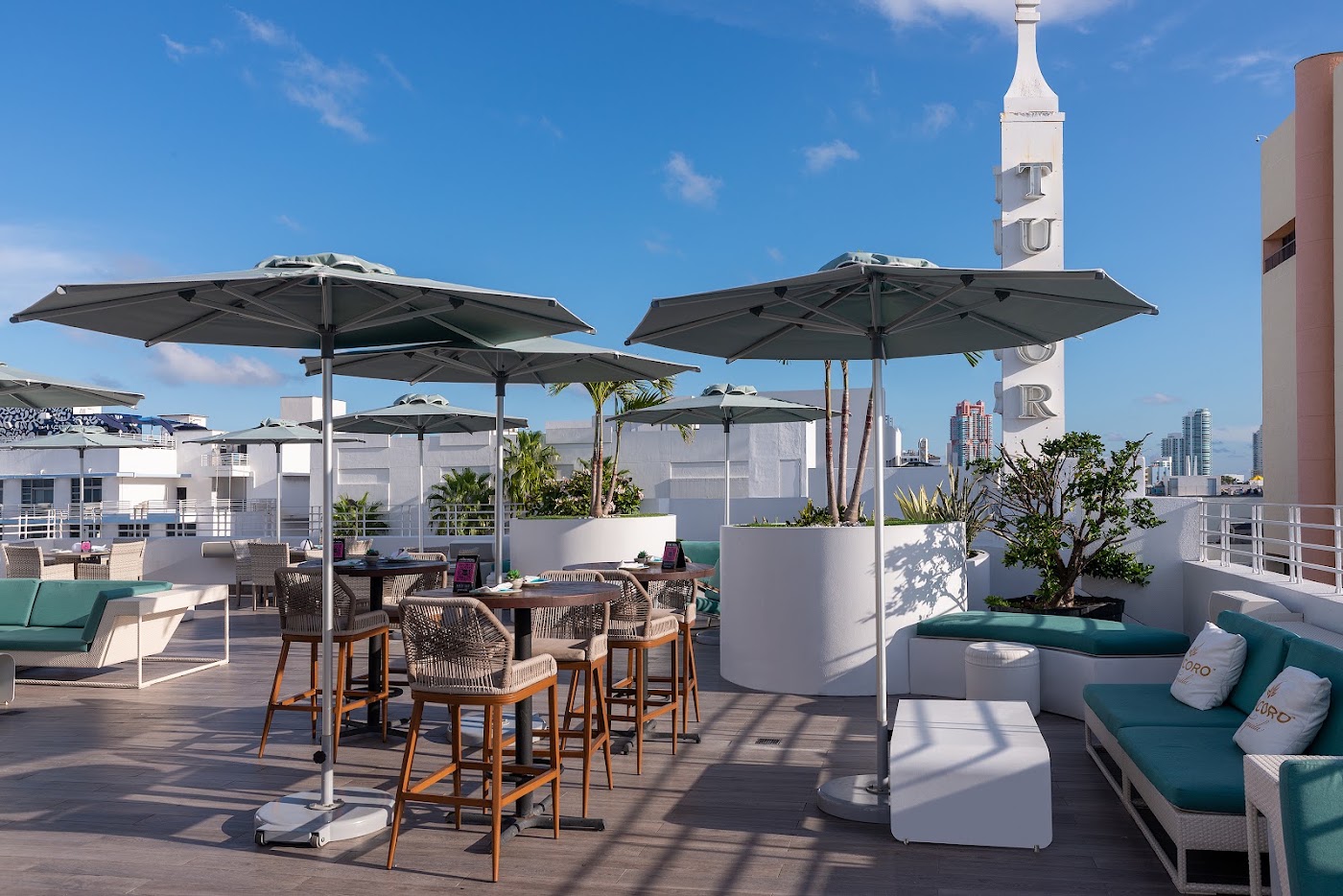 Dream South Beach, dog-friendly hotel, photo 2