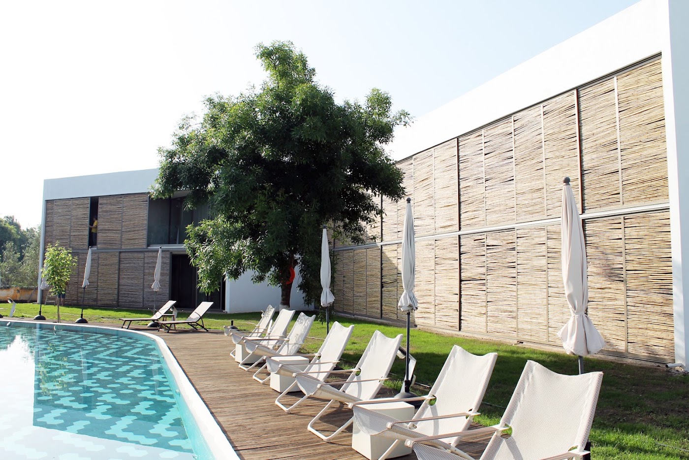 ecoSuites, dog-friendly hotel, photo 2