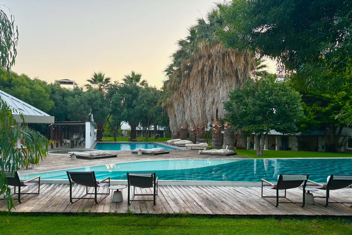 ecoSuites, dog-friendly hotel, photo 4