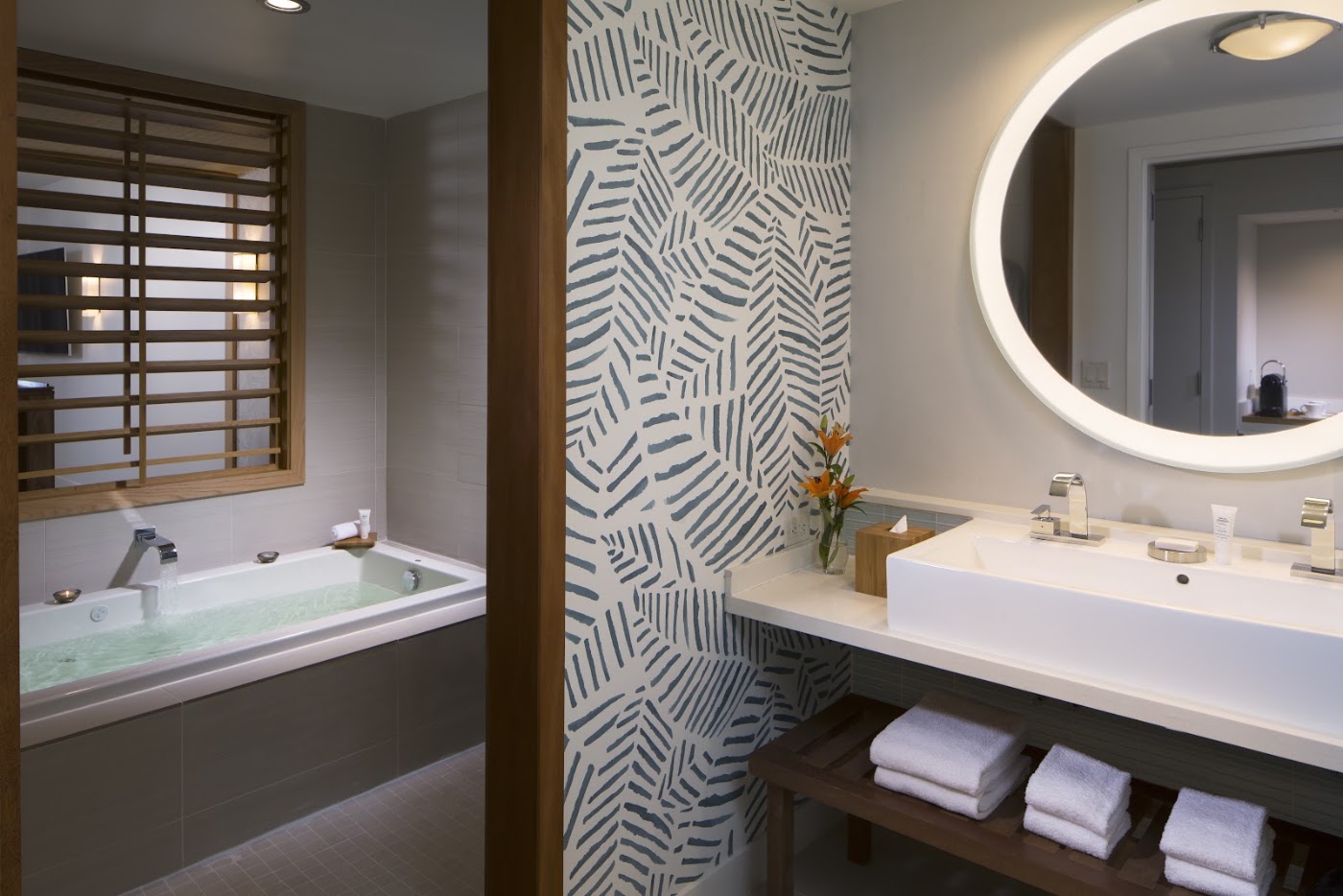 Eden Roc Miami Beach, dog-friendly hotel, photo 5