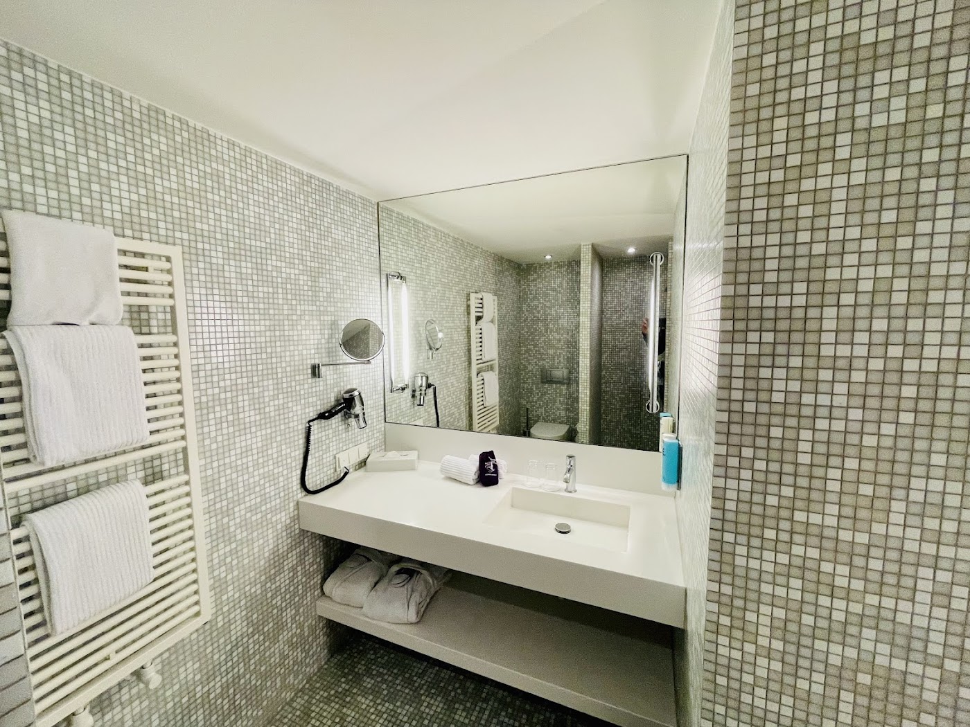 Empire Riverside Hotel, dog-friendly hotel, photo 5