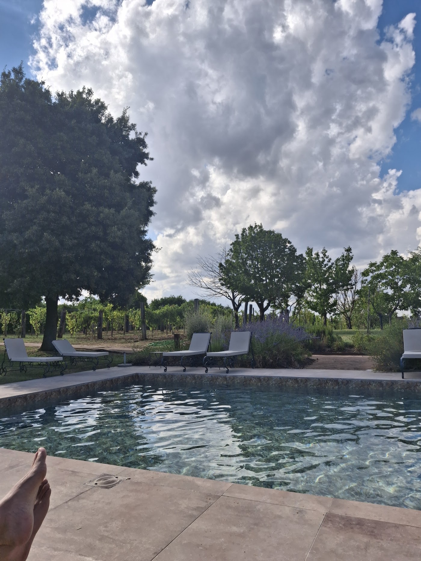 Equo Suites, dog-friendly hotel, photo 4