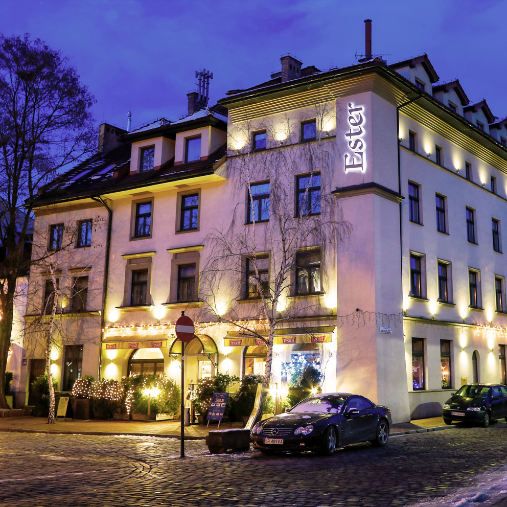 Ester Hotel, dog-friendly hotel, photo 2