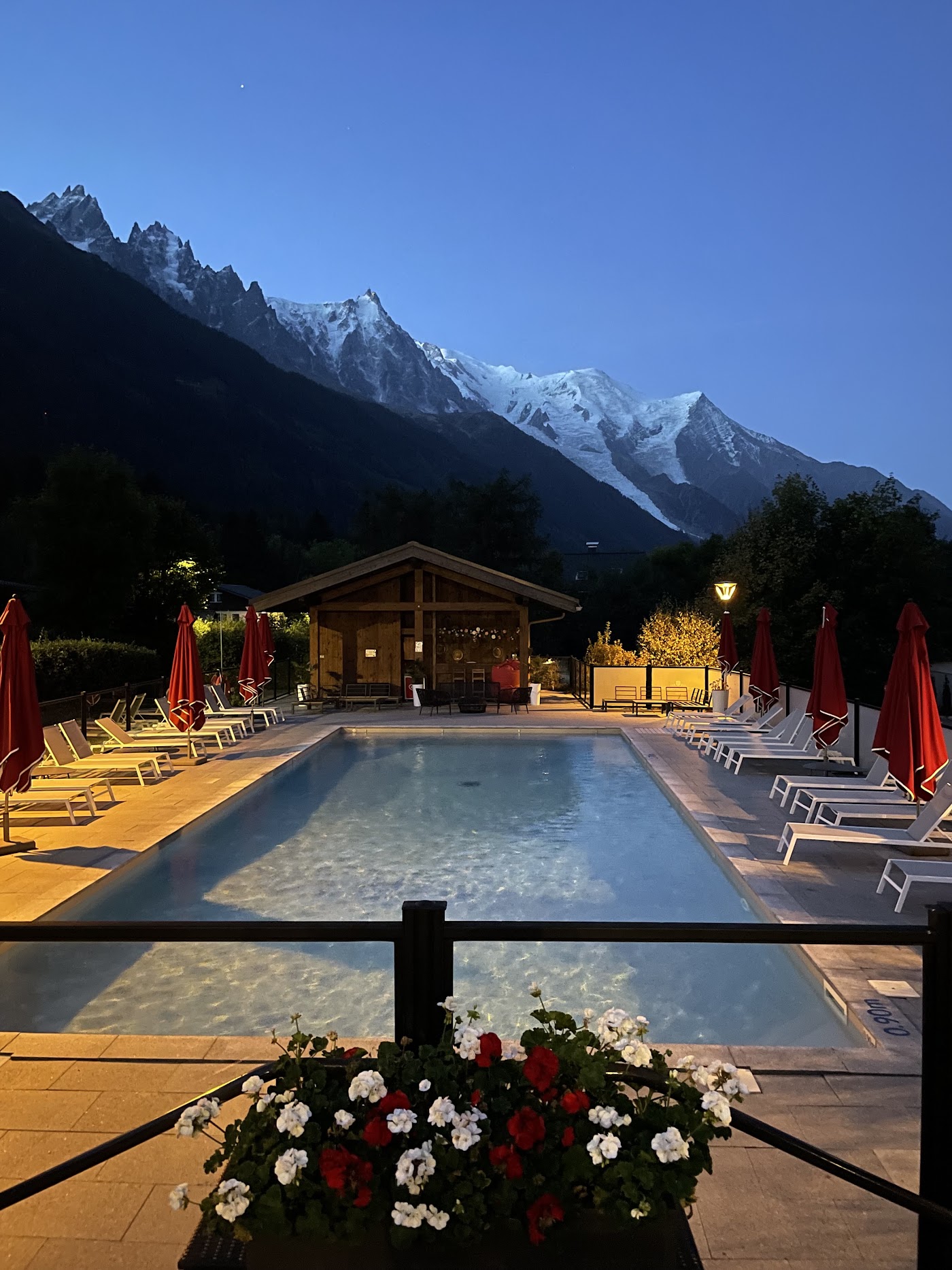 Excelsior Chamonix Hôtel & Spa, dog-friendly hotel, photo 5