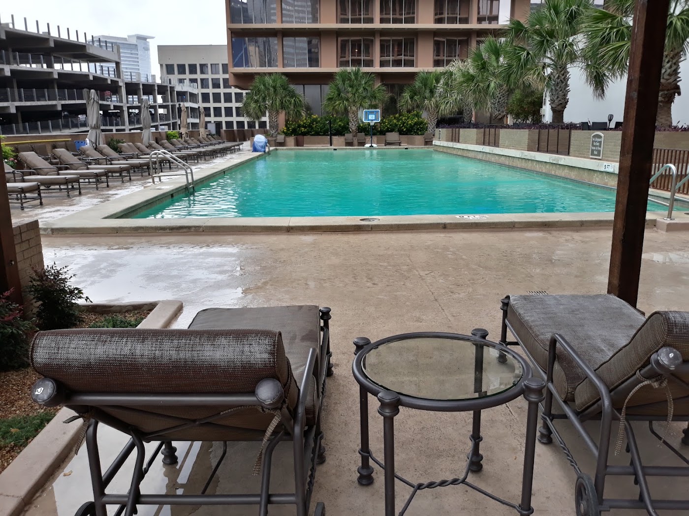 Fairmont Dallas, dog-friendly hotel, photo 4