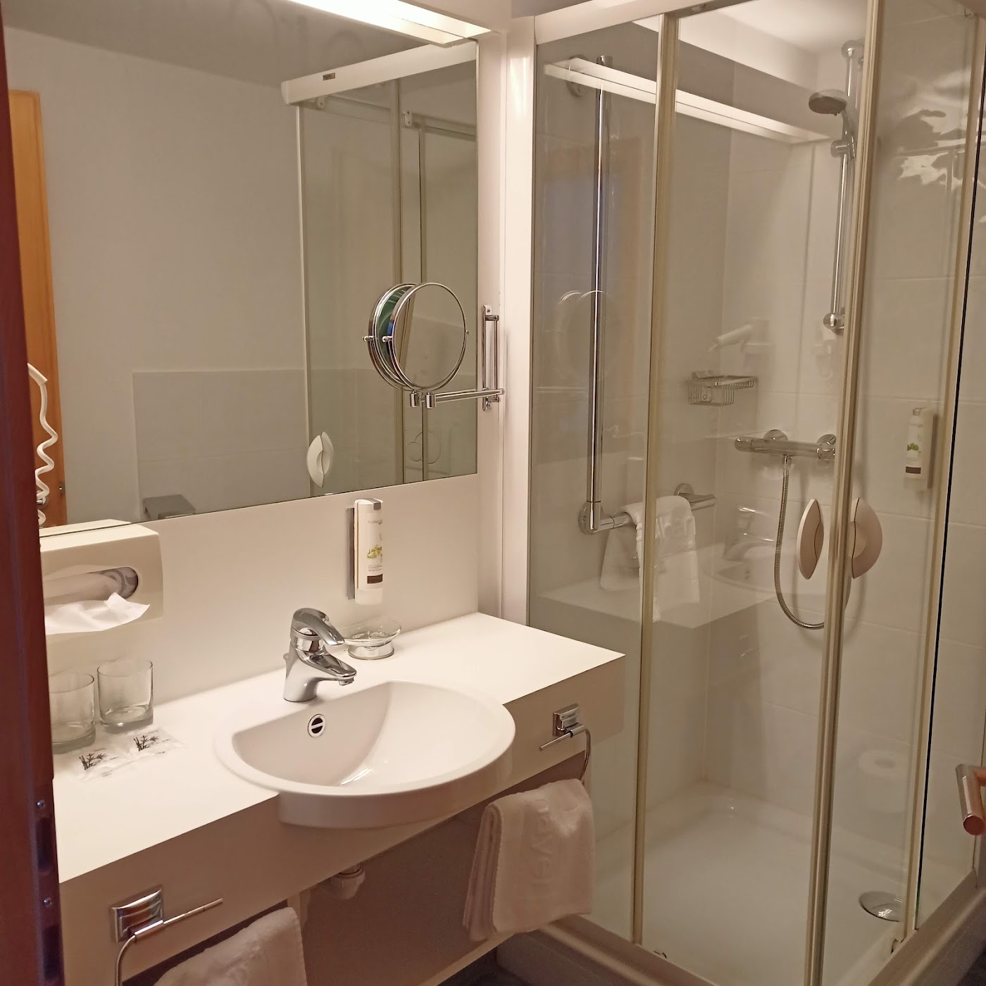Felbermayer Hotel & Alpin Spa Montafon, dog-friendly hotel, photo 5
