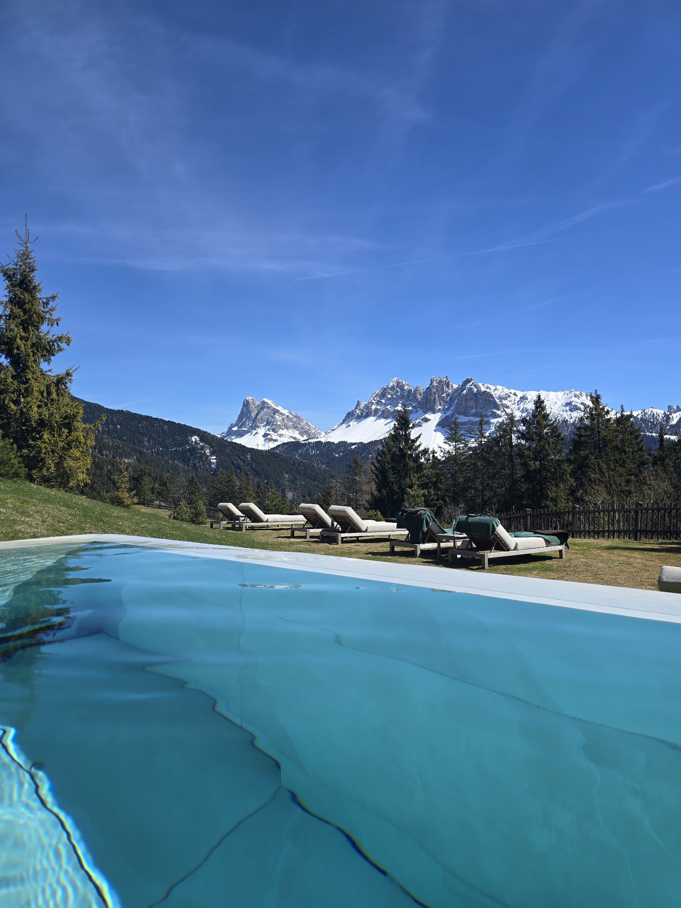 Forestis Dolomites, dog-friendly hotel, photo 4