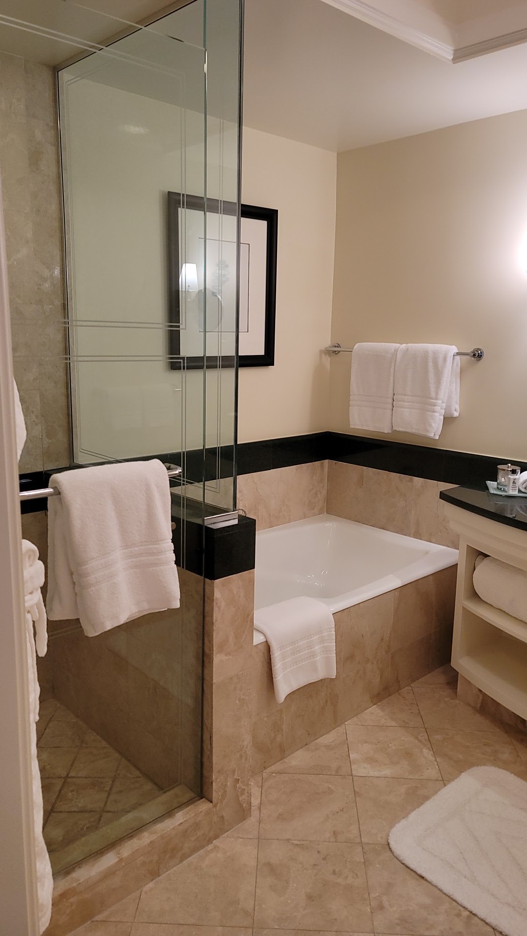 Four Seasons Hotel Miami, dog-friendly hotel, photo 5