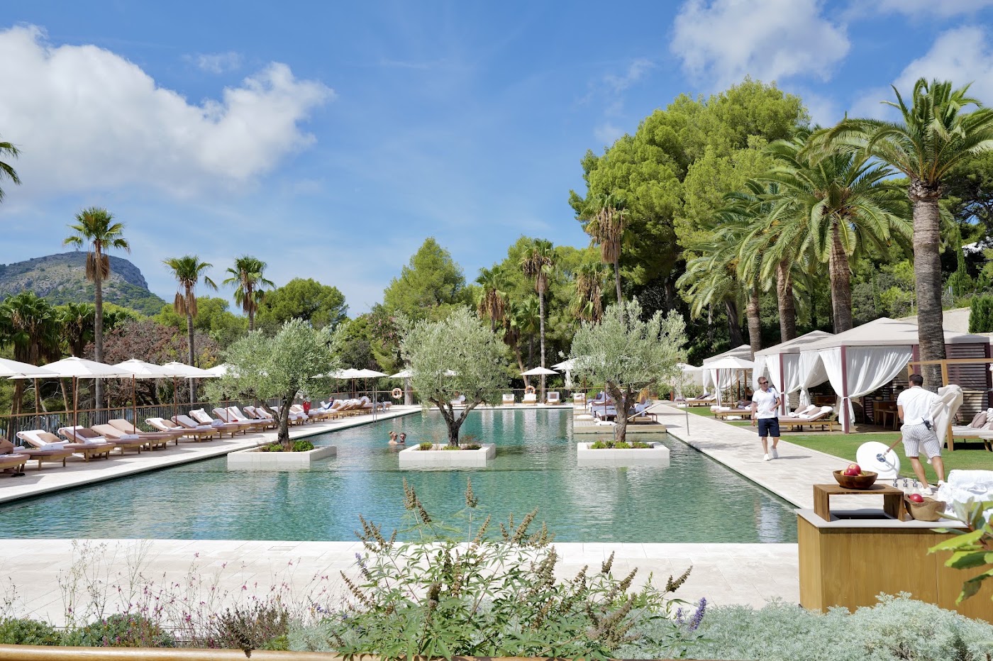 Four Seasons Resort Mallorca at Formentor, dog-friendly hotel, photo 4