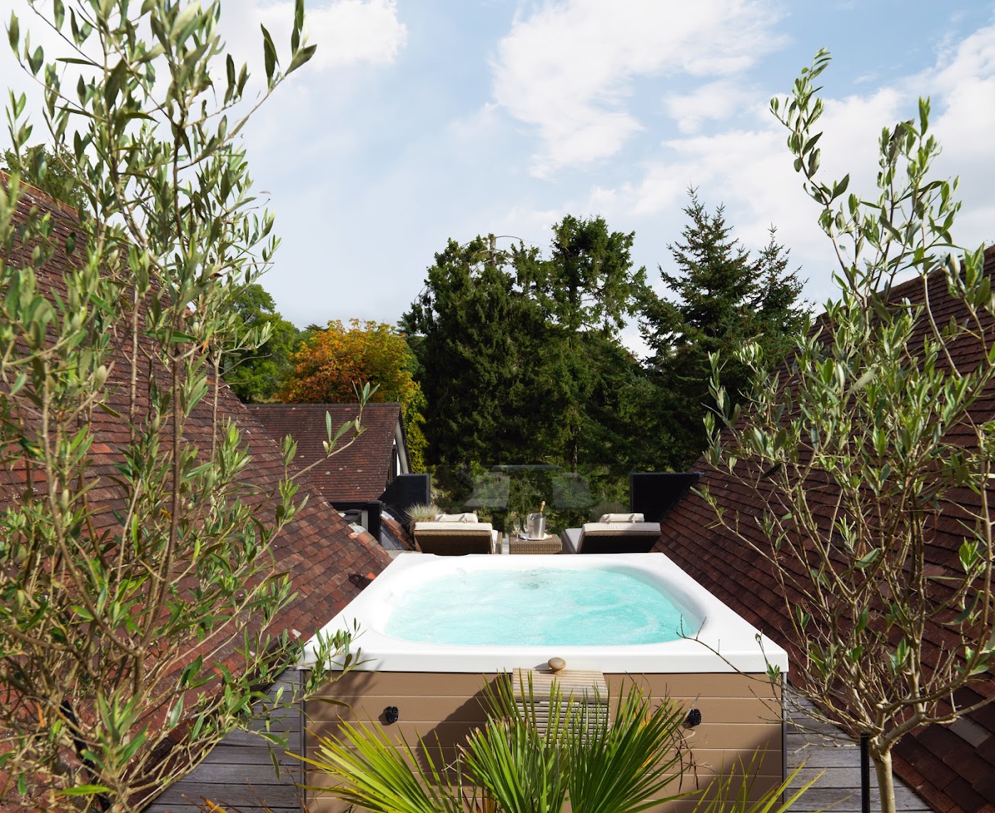 Gidleigh Park, dog-friendly hotel, photo 4