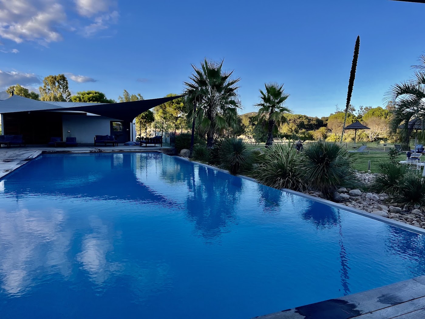 Golden Tulip Porto-Vecchio, dog-friendly hotel, photo 4