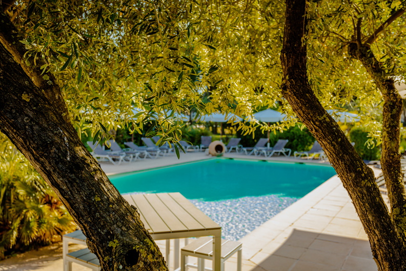 Golf Hotel, dog-friendly hotel, photo 4