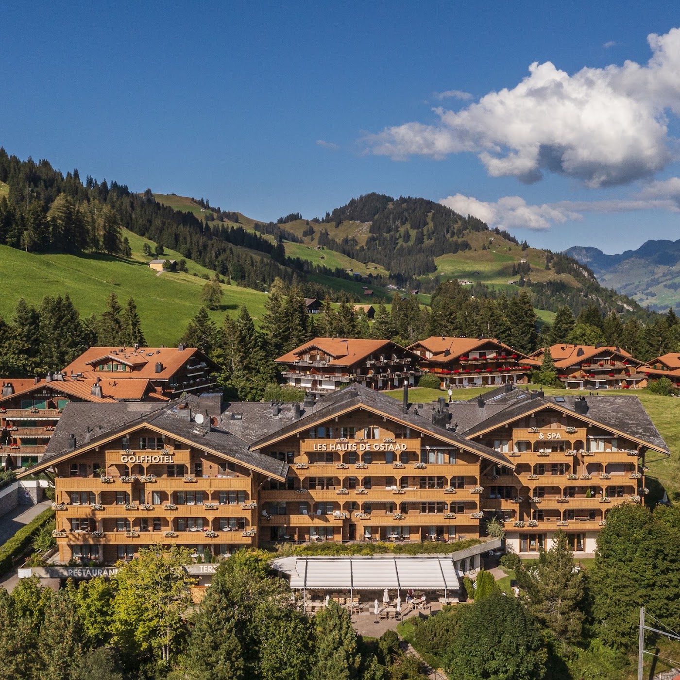 Golfhotel Les Hauts de Gstaad & SPA, dog-friendly hotel, photo 2