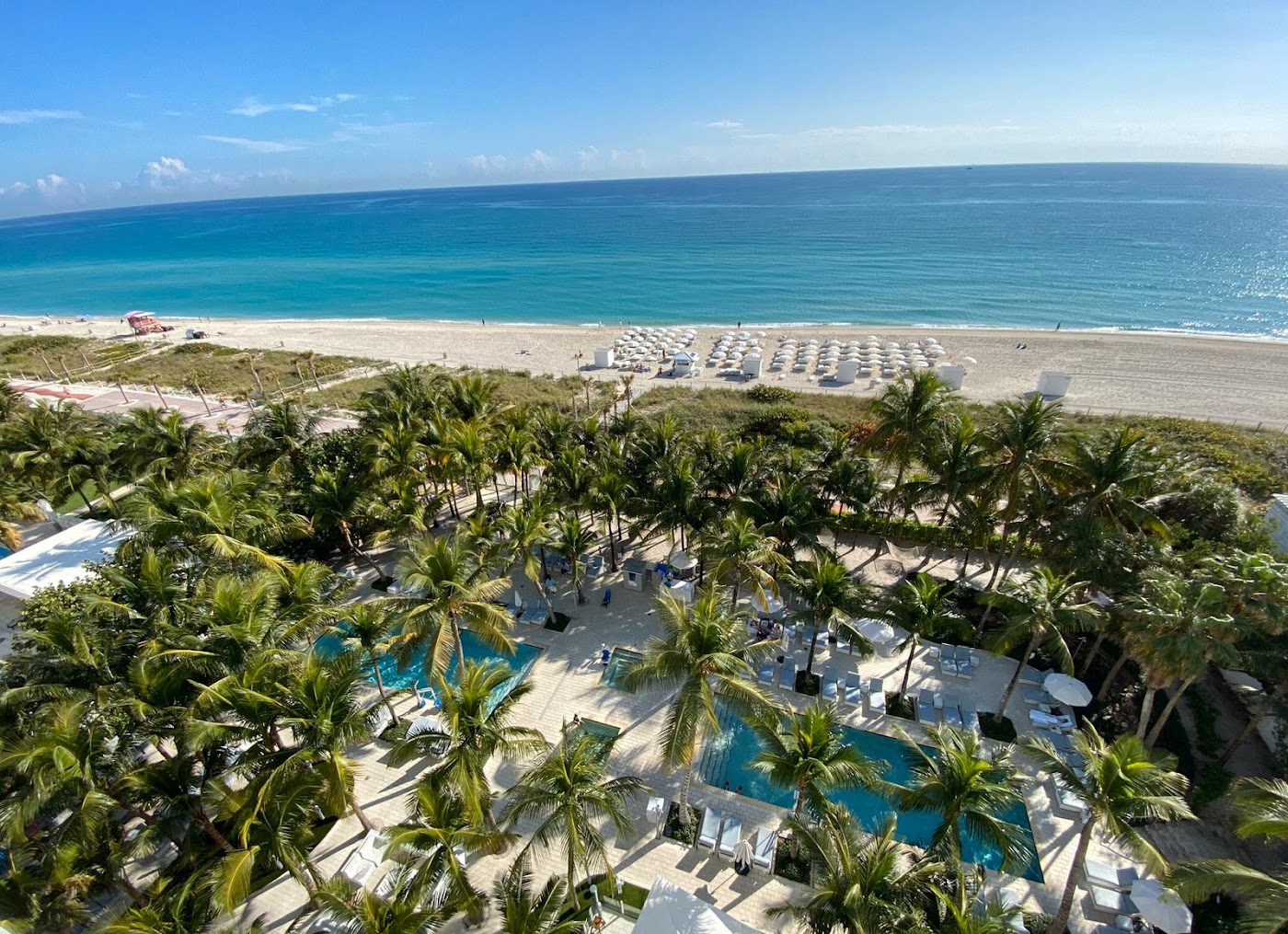 Grand Beach Hotel Miami Beach, dog-friendly hotel, photo 2