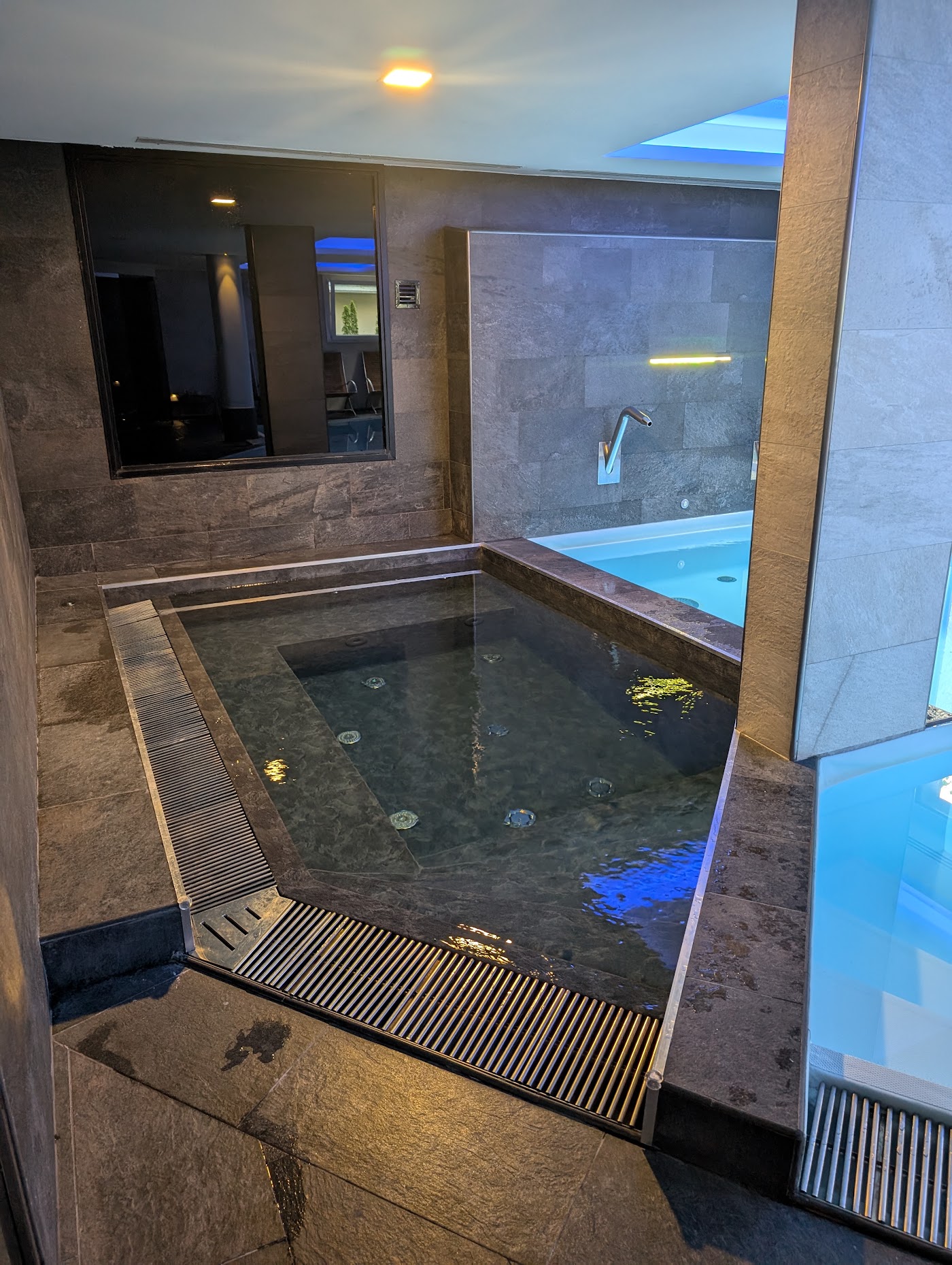 Grand Hôtel des Alpes, dog-friendly hotel, photo 3