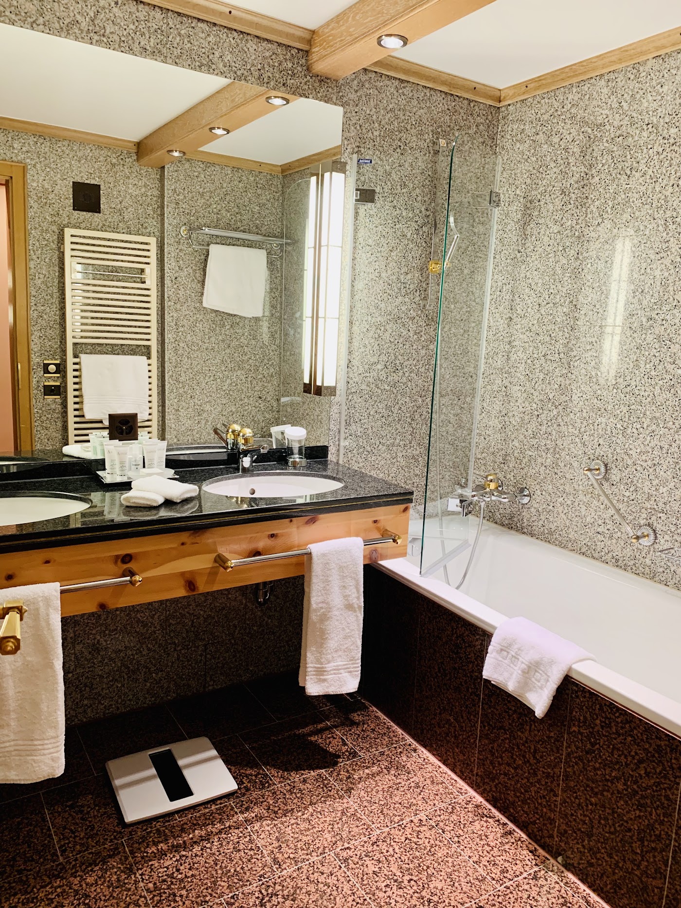 Grand Hotel Zermatterhof, dog-friendly hotel, photo 5