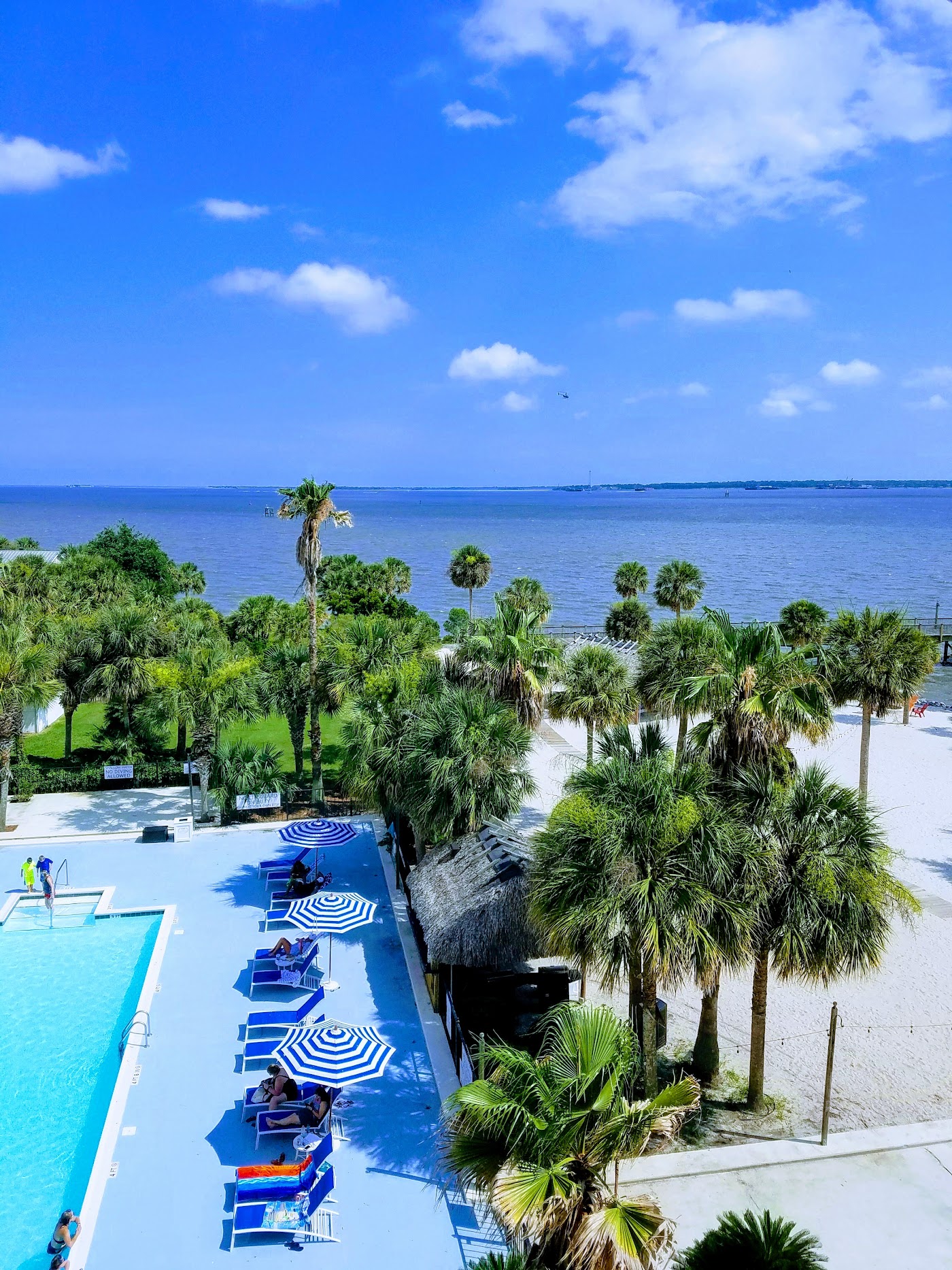 Harborside at Charleston Harbor Resort & Marina, dog-friendly hotel, photo 3