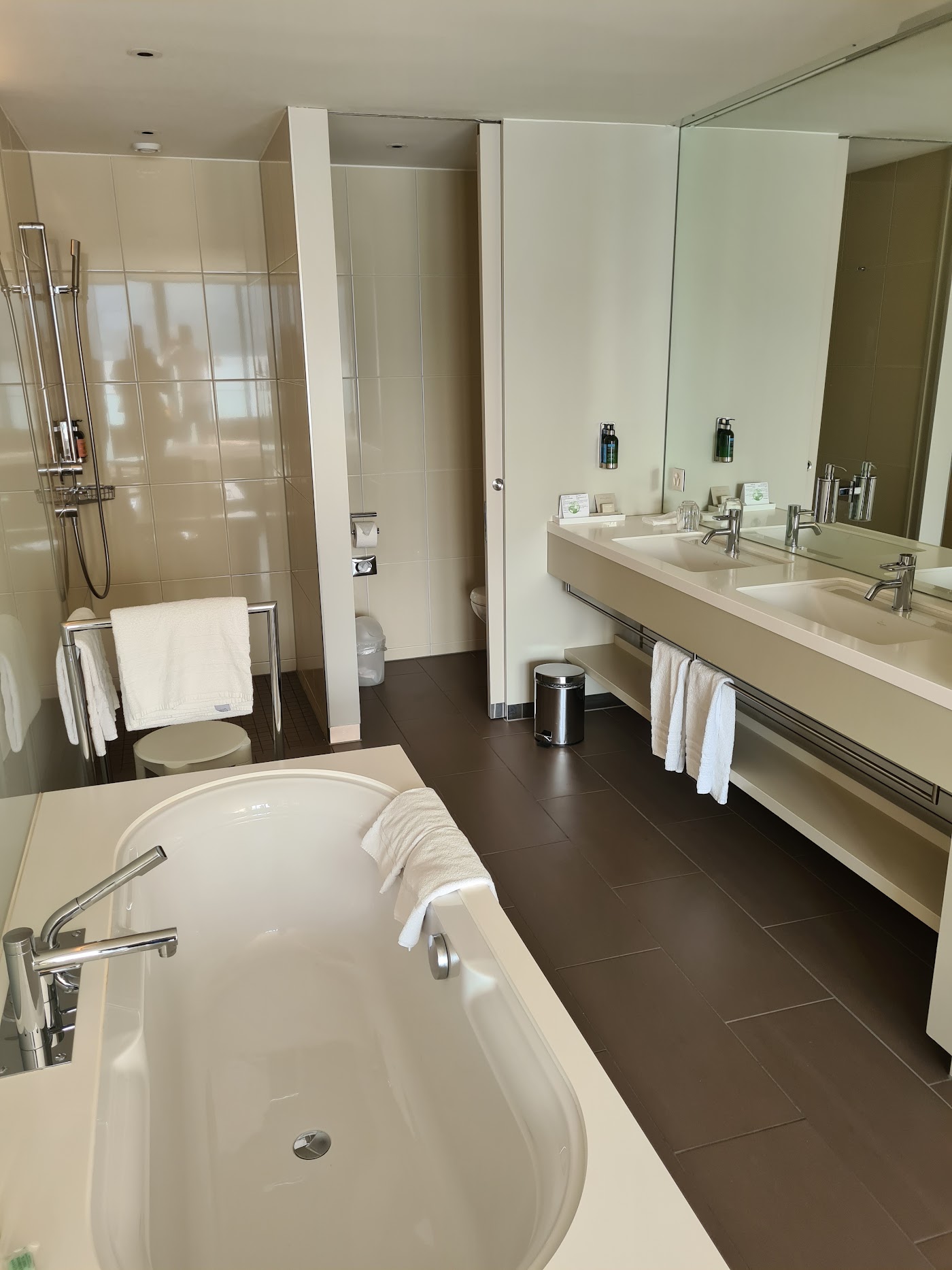 HERMITAGE Lake Lucerne, dog-friendly hotel, photo 4