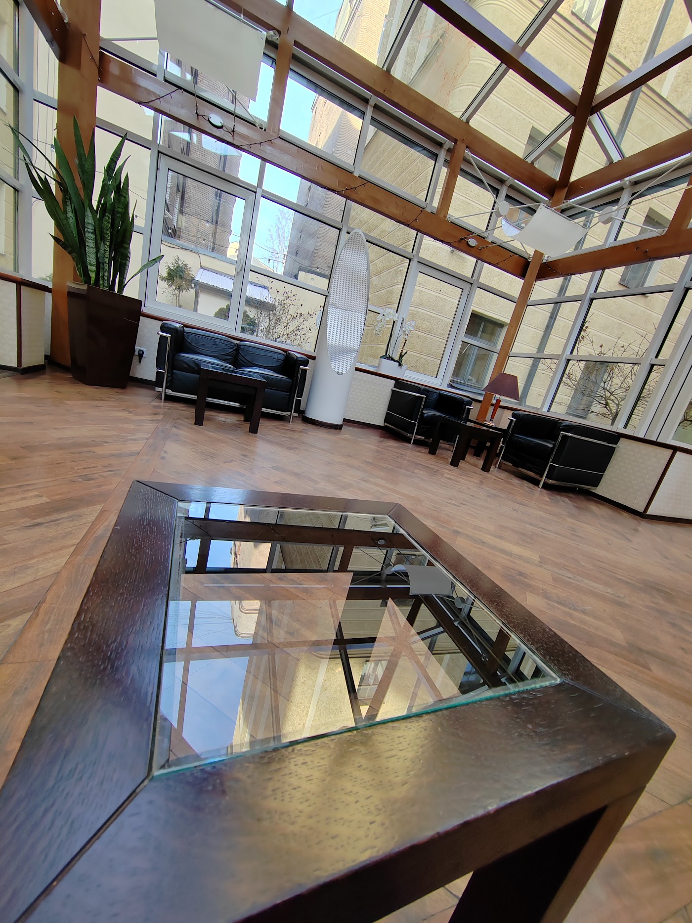 Hestia Hotel Jugend, dog-friendly hotel, photo 3