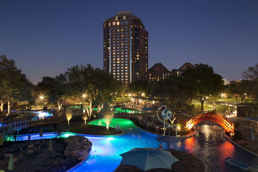Hilton Anatole, dog-friendly hotel, photo 5