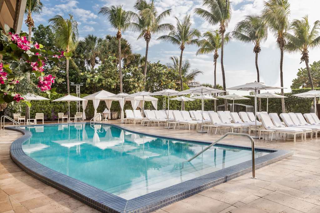 Hilton Bentley Miami South Beach, dog-friendly hotel, photo 4