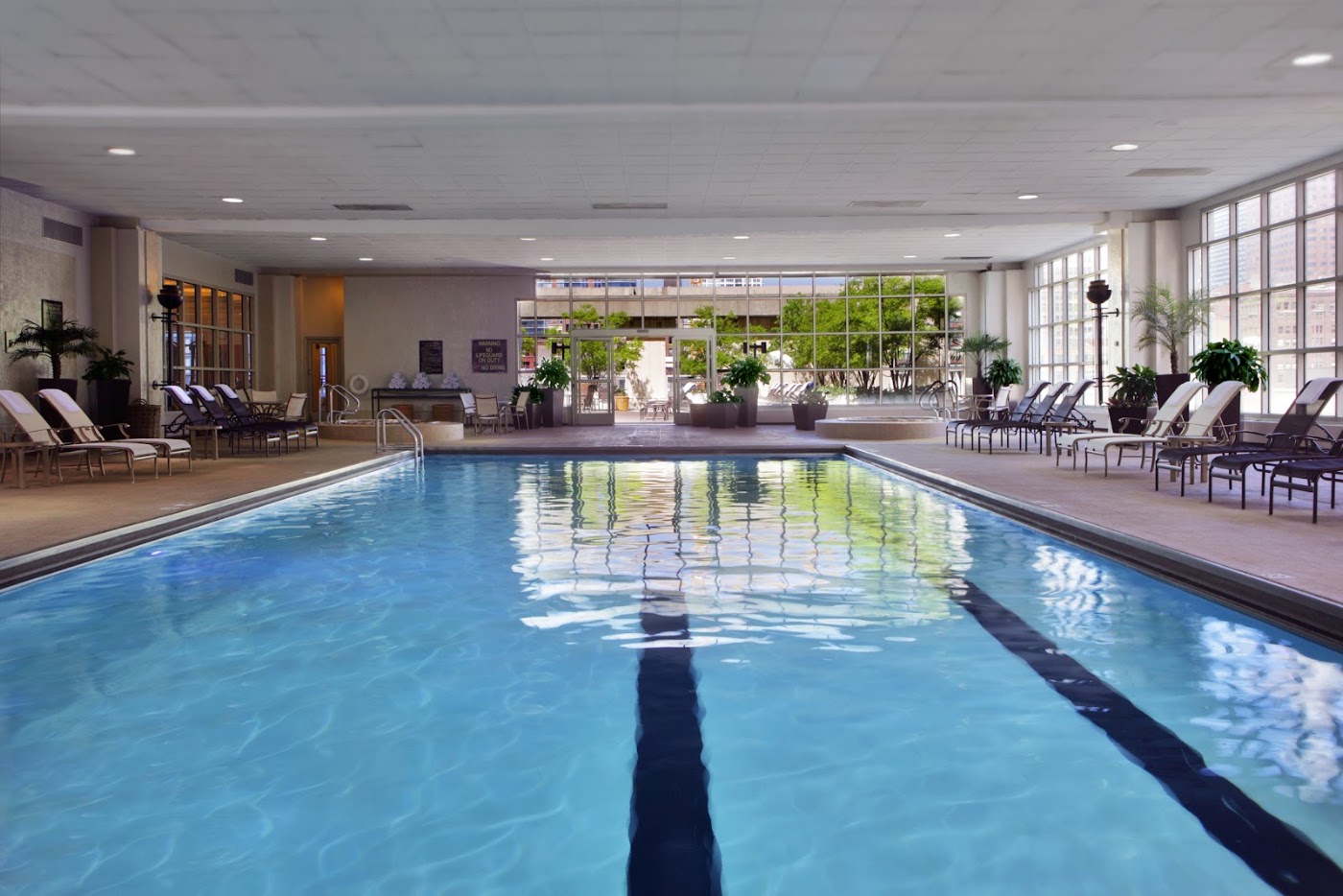 Hilton Chicago, dog-friendly hotel, photo 4
