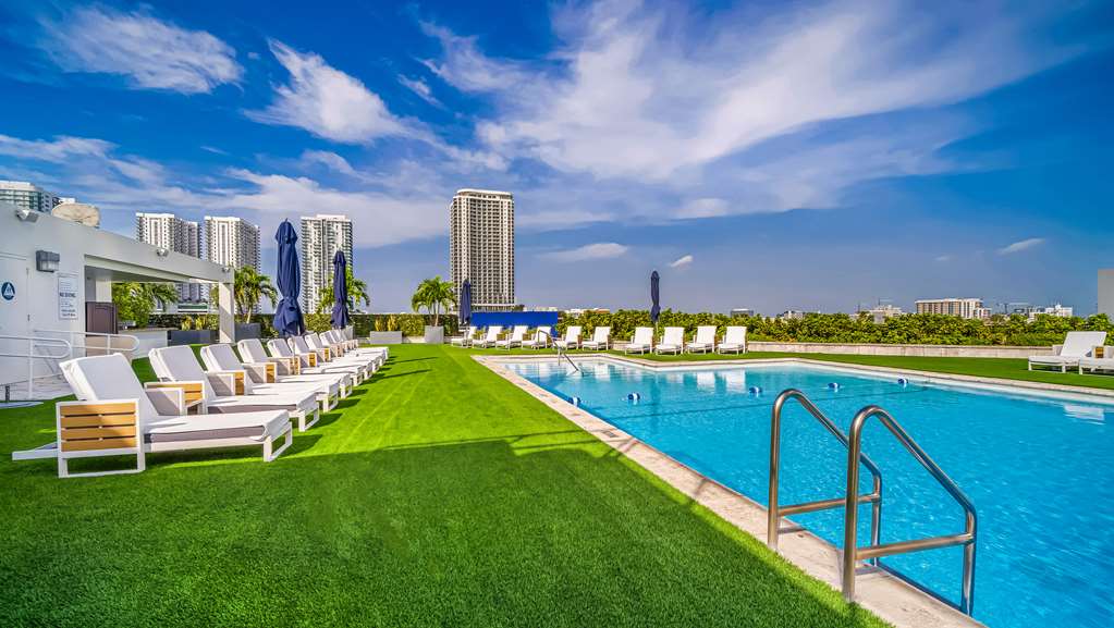 Hilton Miami Downtown, dog-friendly hotel, photo 4
