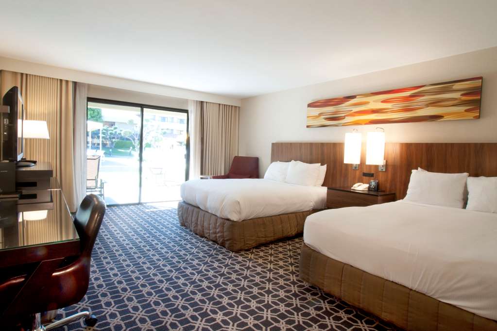 Hilton Palm Springs Resort, dog-friendly hotel, photo 3