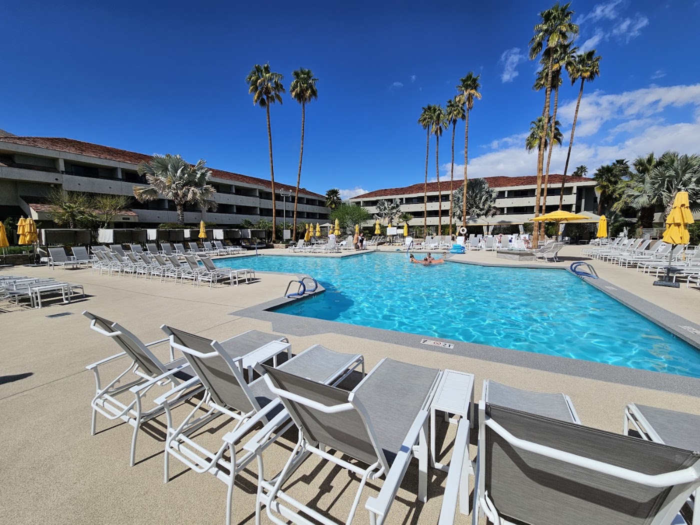 Hilton Palm Springs Resort, dog-friendly hotel, photo 4