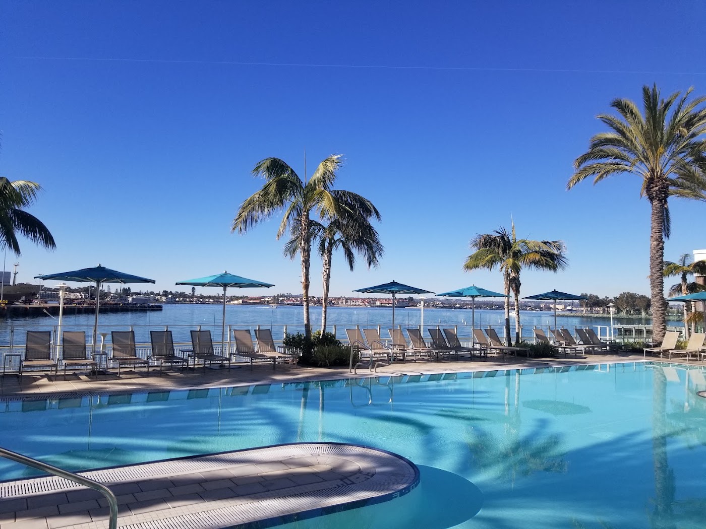 Hilton San Diego Bayfront, dog-friendly hotel, photo 3