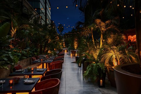 Hollywood Volume, dog-friendly hotel, photo 2