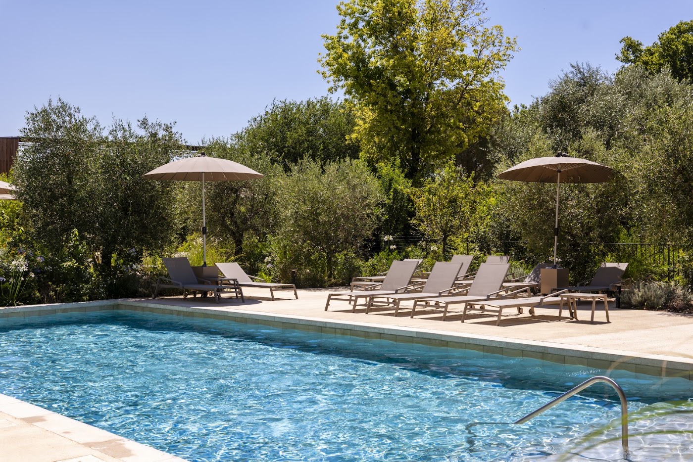 Horizon Resort Massane, dog-friendly hotel, photo 4