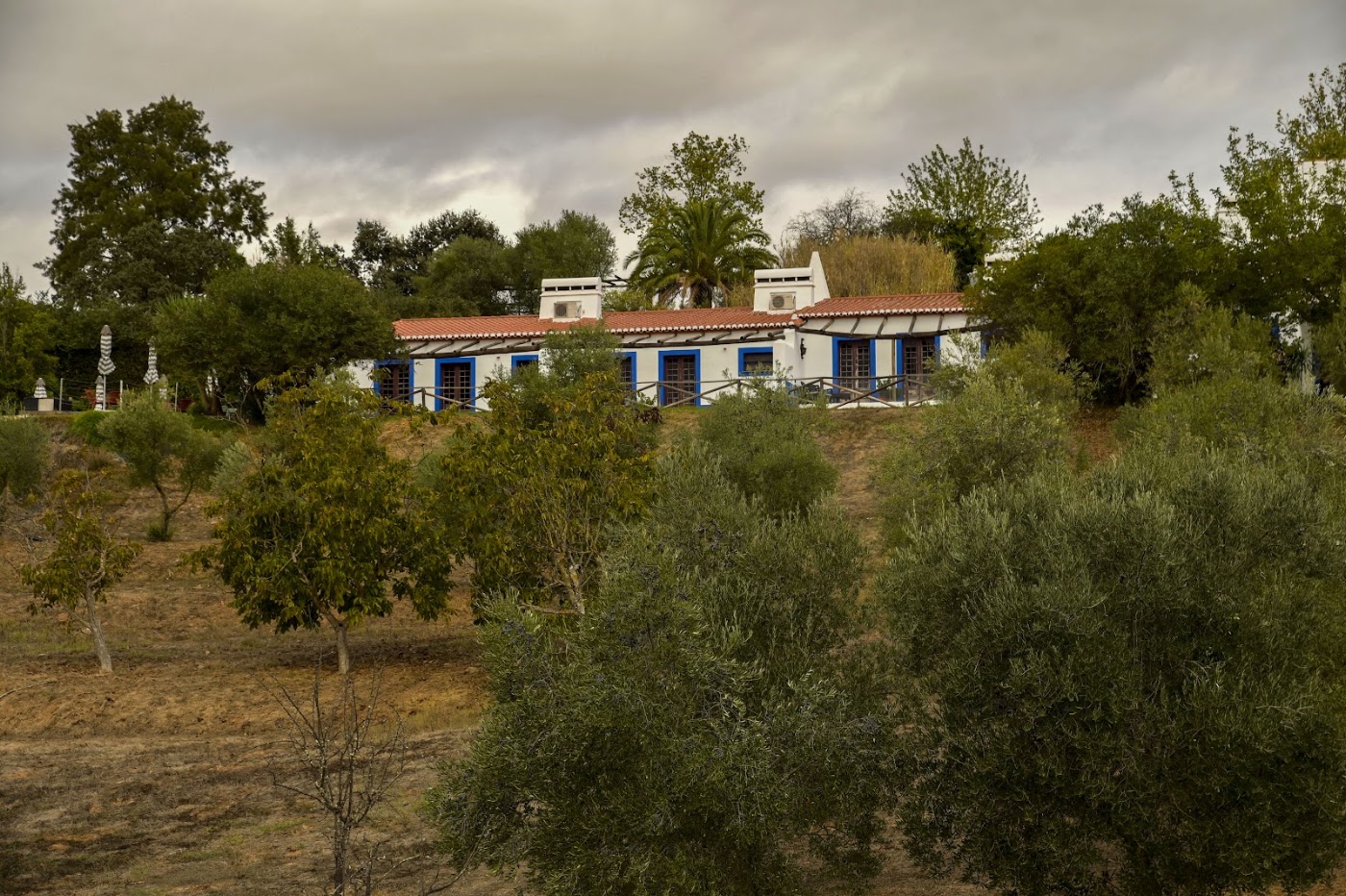 Horta da Moura, dog-friendly hotel, photo 2