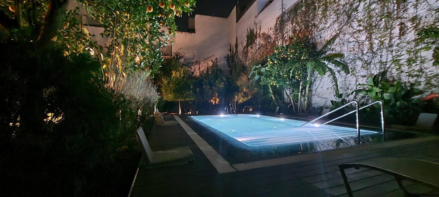 Hospes Palacio del Bailío, dog-friendly hotel, photo 4