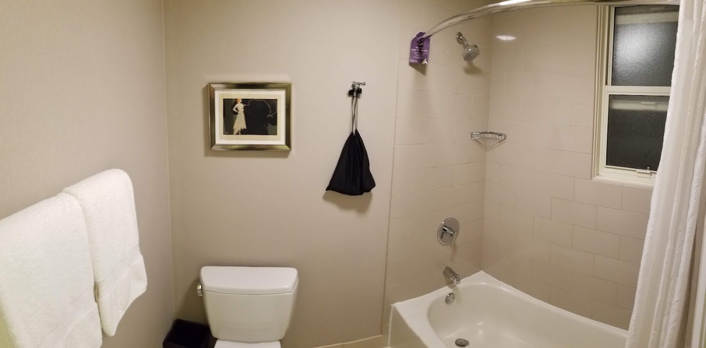Hotel Adagio, dog-friendly hotel, photo 4