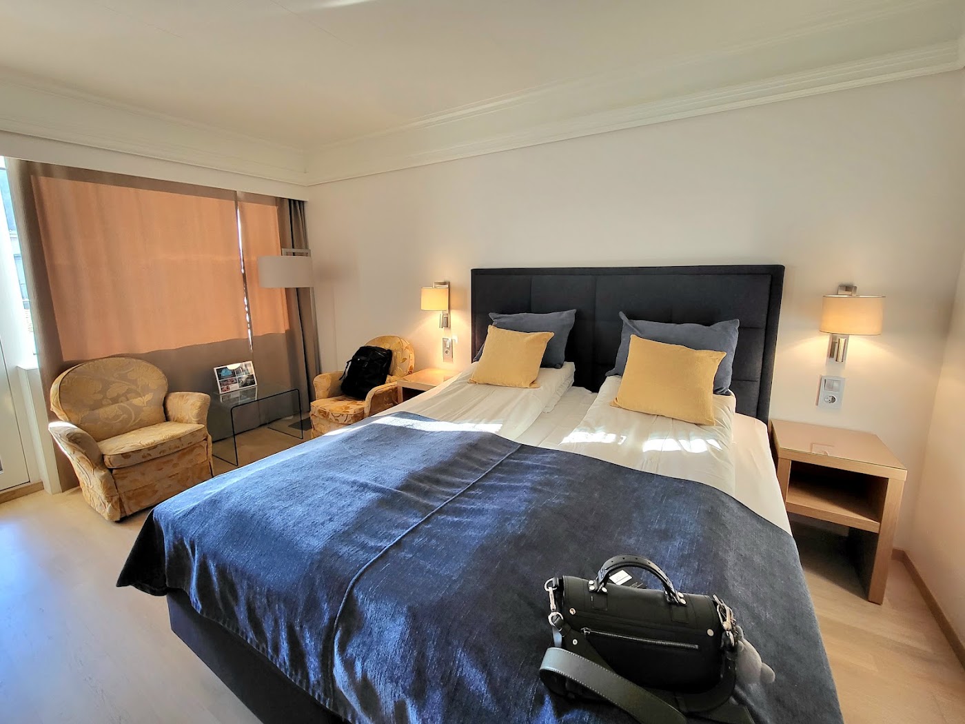 Hotel Alexandra, dog-friendly hotel, photo 2