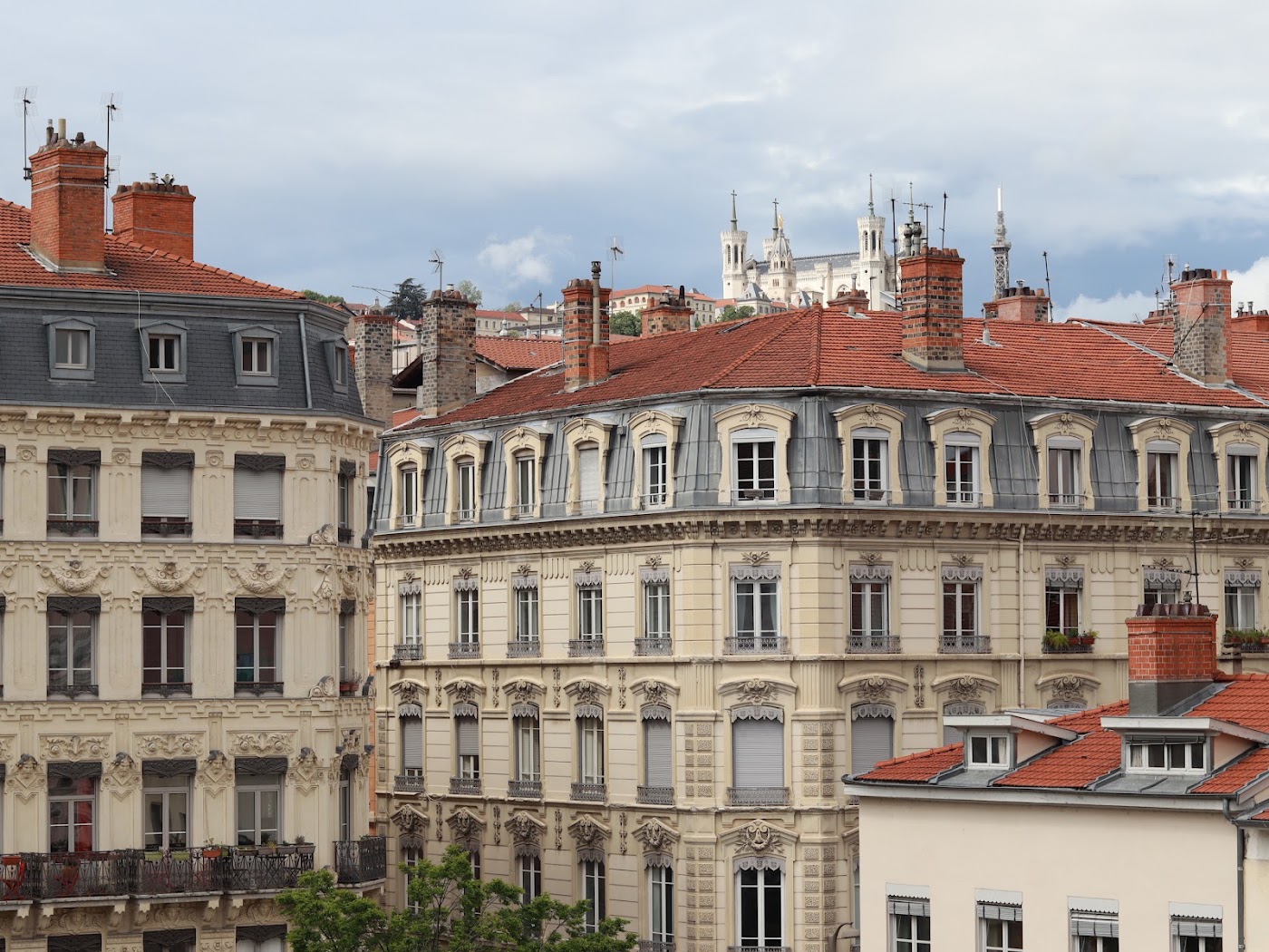 Hôtel Alexandra, dog-friendly hotel, photo 2