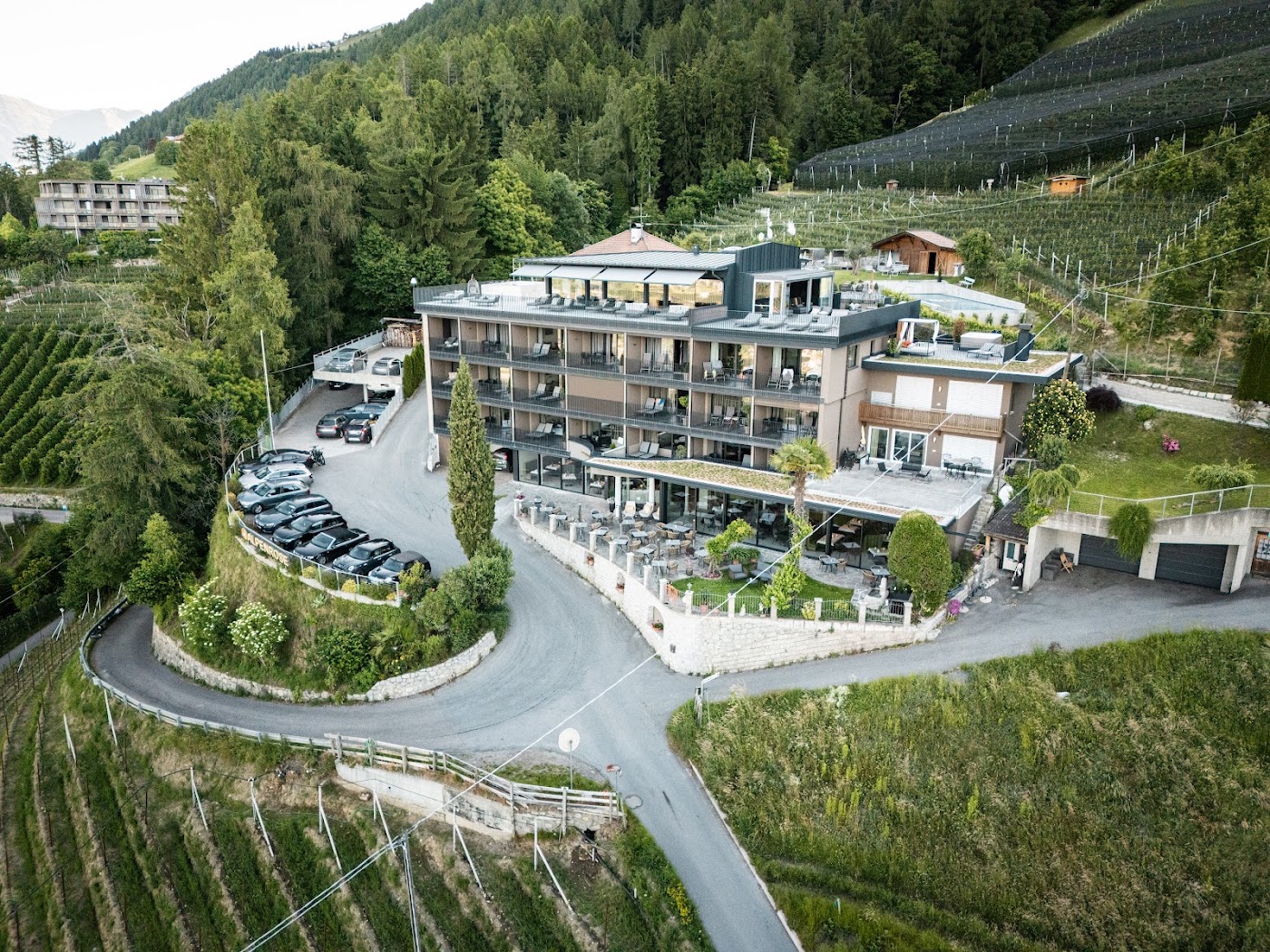 Hotel Alpenrose, dog-friendly hotel, photo 2