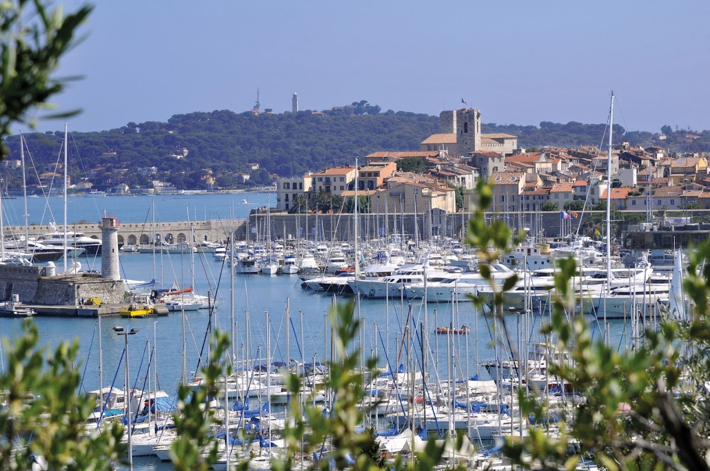 Hôtel & Spa Thalazur Antibes, dog-friendly hotel, photo 2