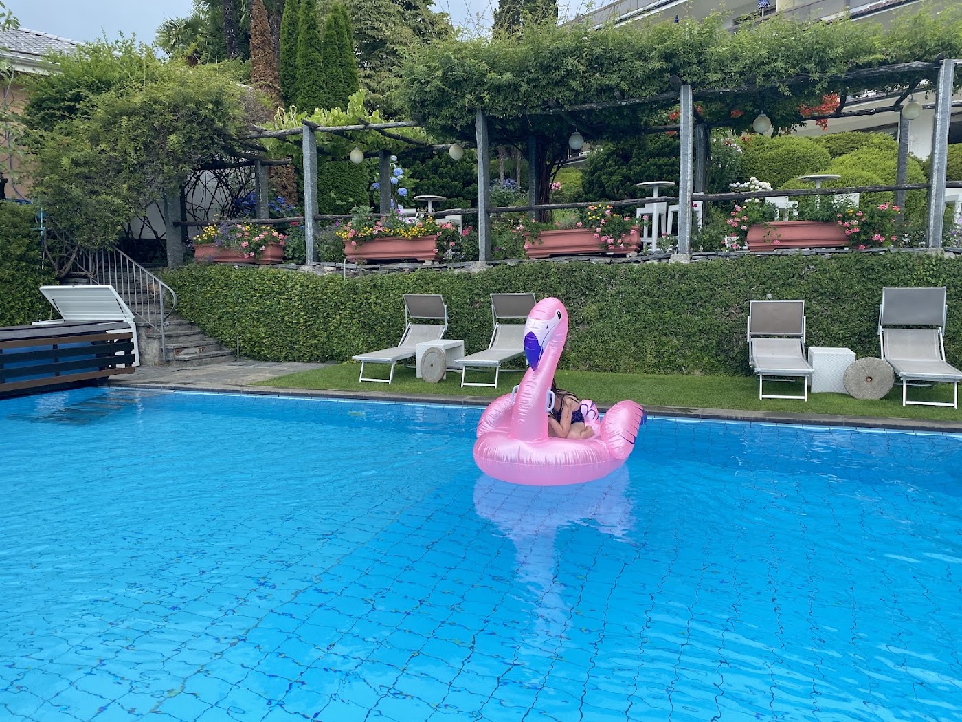 Hotel Ascona, dog-friendly hotel, photo 4