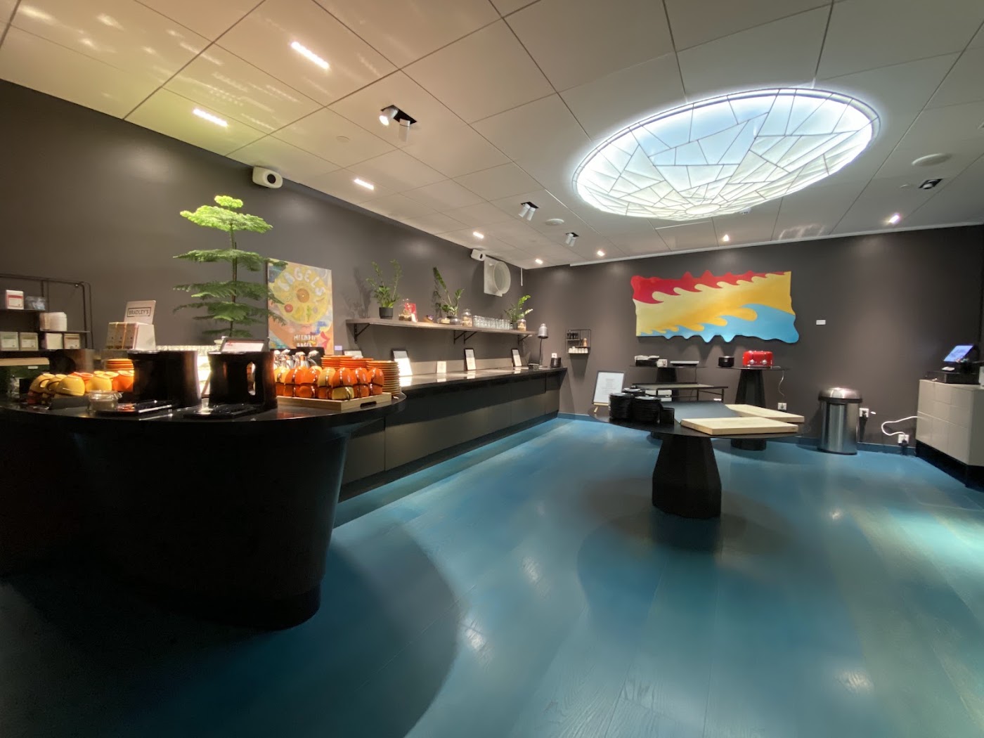 Hotel AX, dog-friendly hotel, photo 4