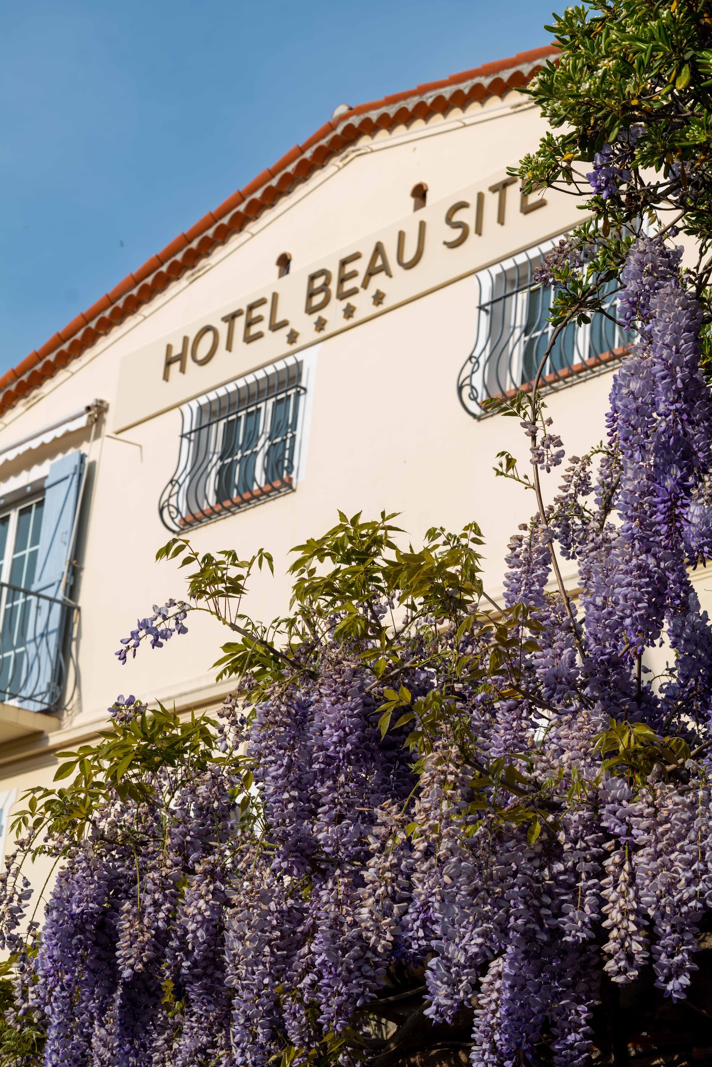 Hôtel Beau Site - Cap d'Antibes, dog-friendly hotel, photo 5