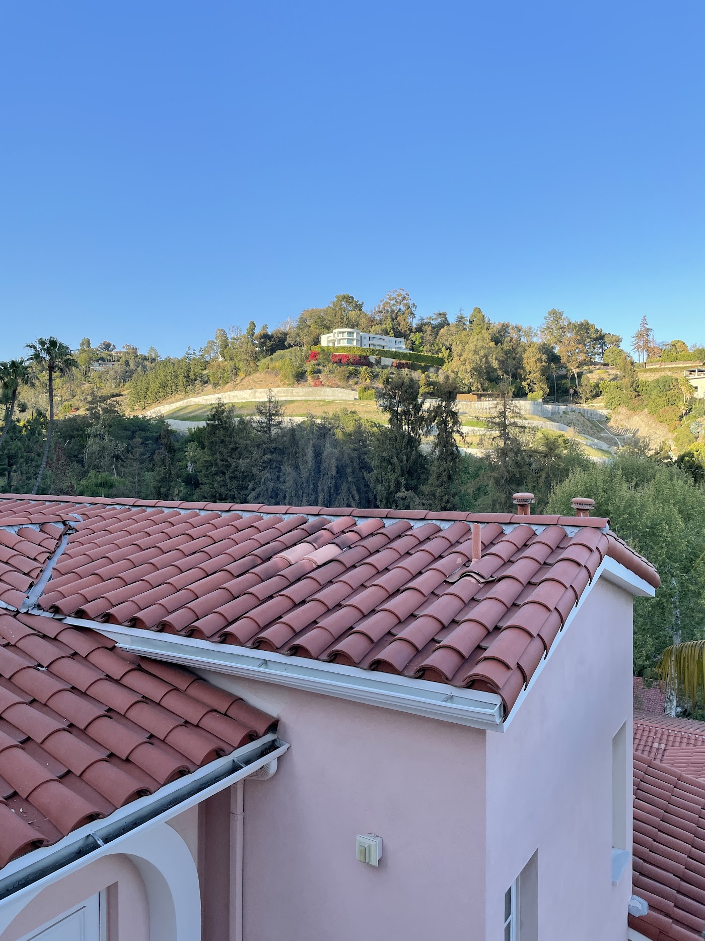 Hotel Bel-Air, dog-friendly hotel, photo 2