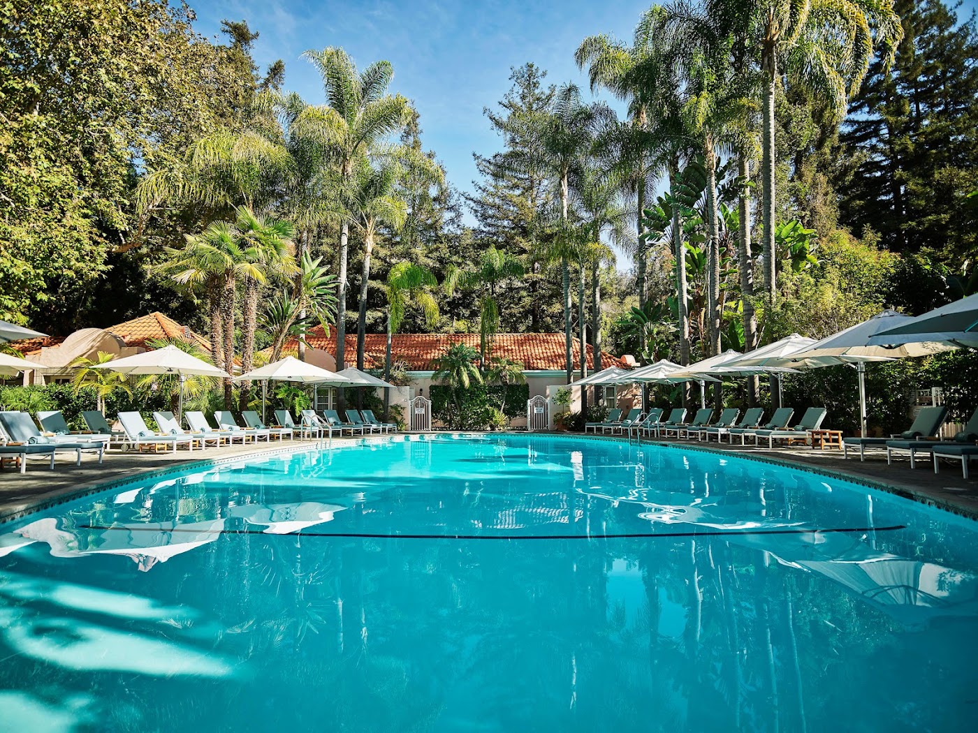 Hotel Bel-Air, dog-friendly hotel, photo 4