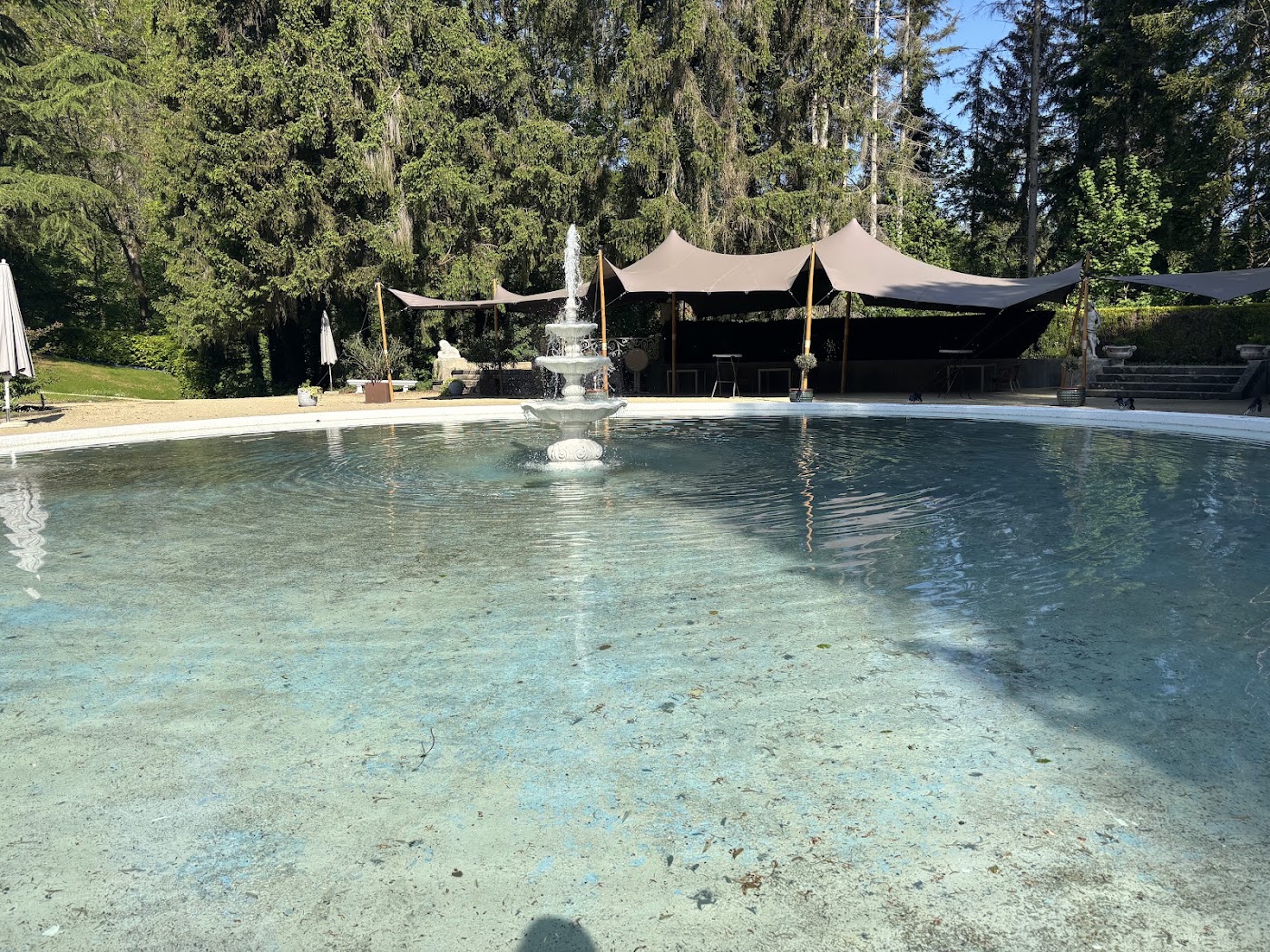 Hotel Bel-Air Trail & Wellness, dog-friendly hotel, photo 4