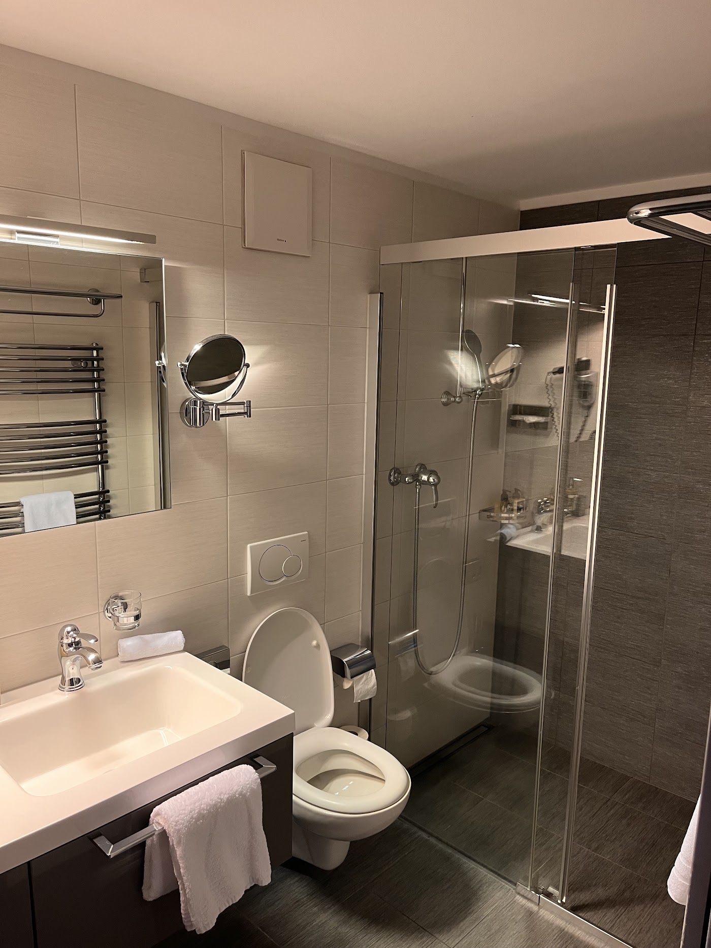 Hotel Belvedere Locarno, dog-friendly hotel, photo 5