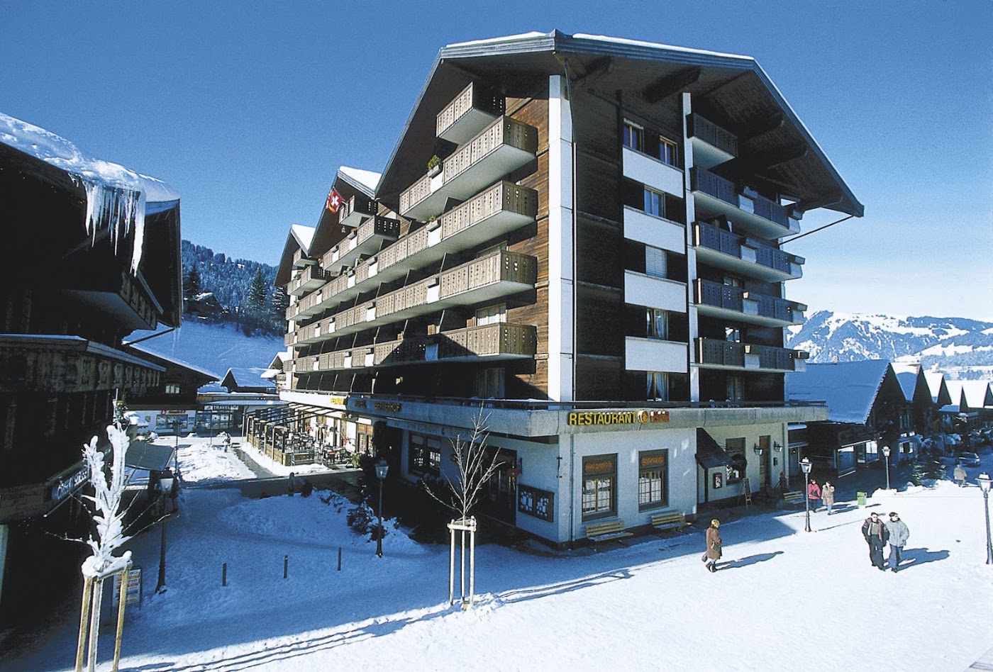 Hotel Bern, dog-friendly hotel, photo 2