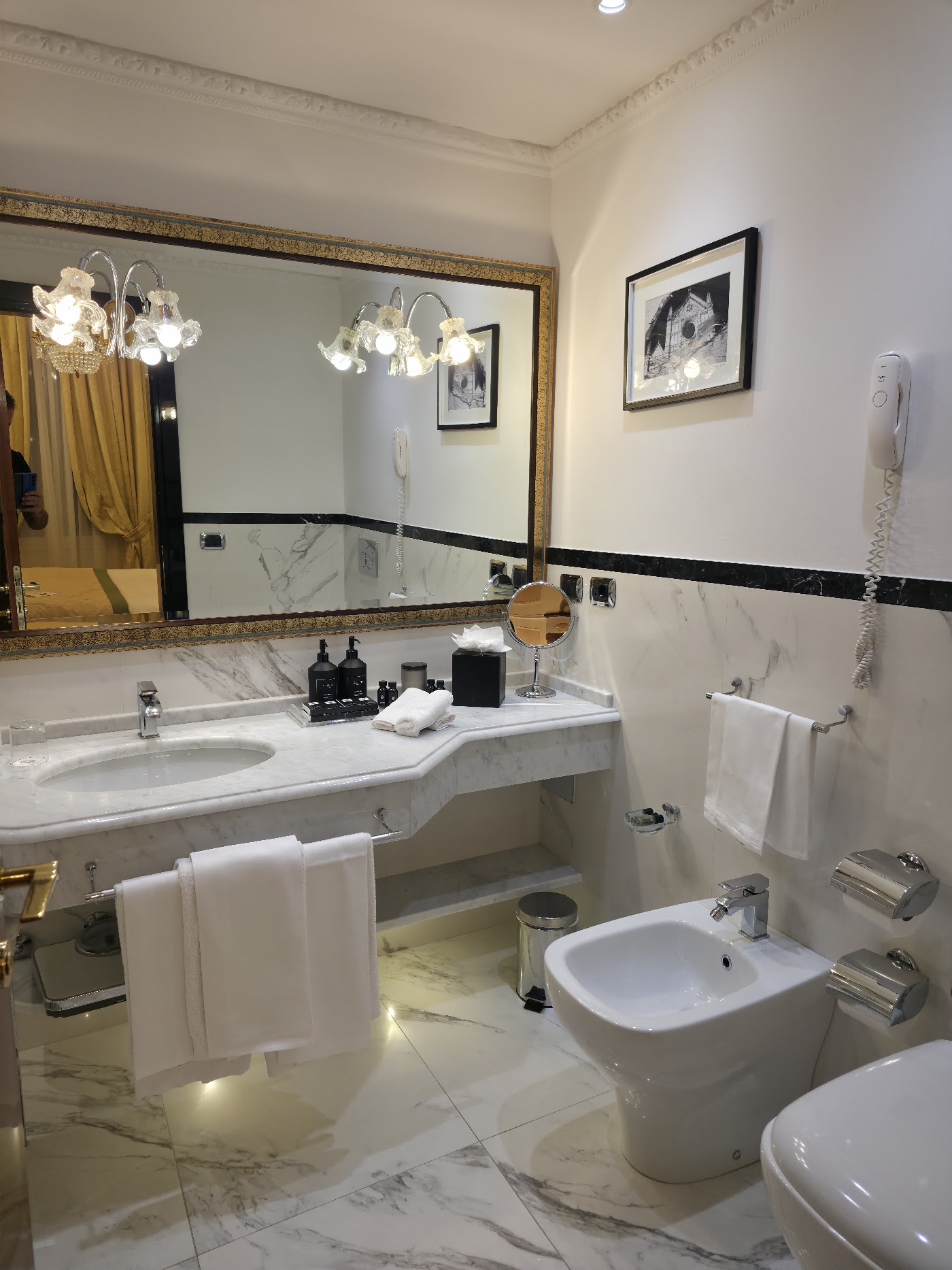 Hotel Bernini Palace, dog-friendly hotel, photo 4