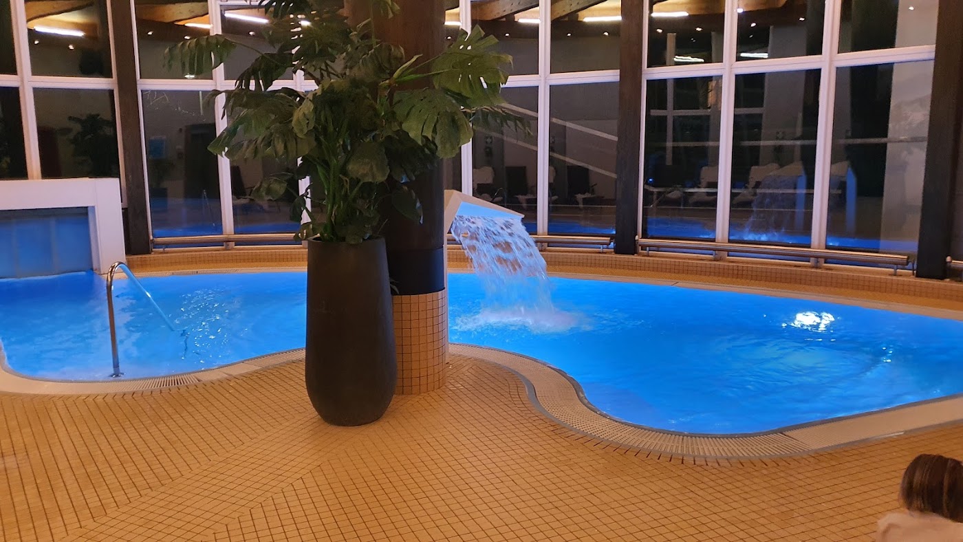 Hotel Bon Alpina, dog-friendly hotel, photo 3