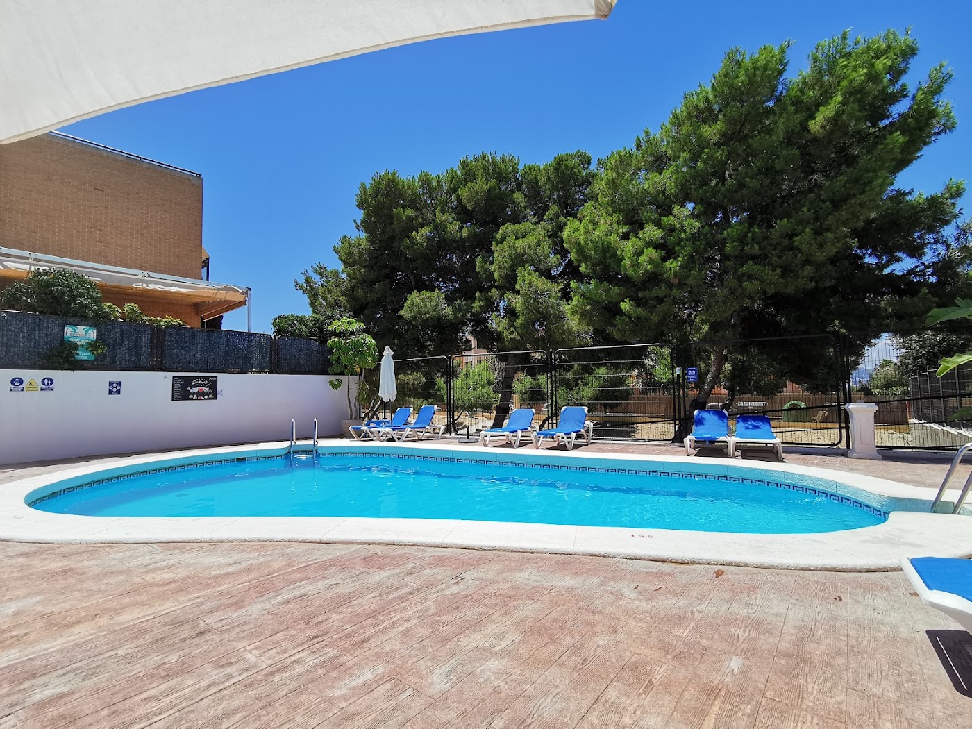 Hotel Boutique Calas de Alicante, dog-friendly hotel, photo 4